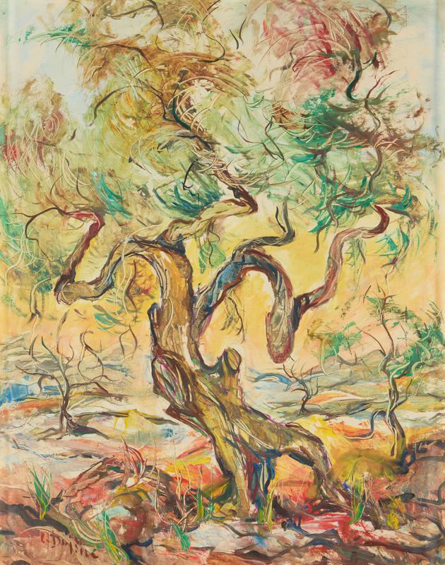Olive Tree