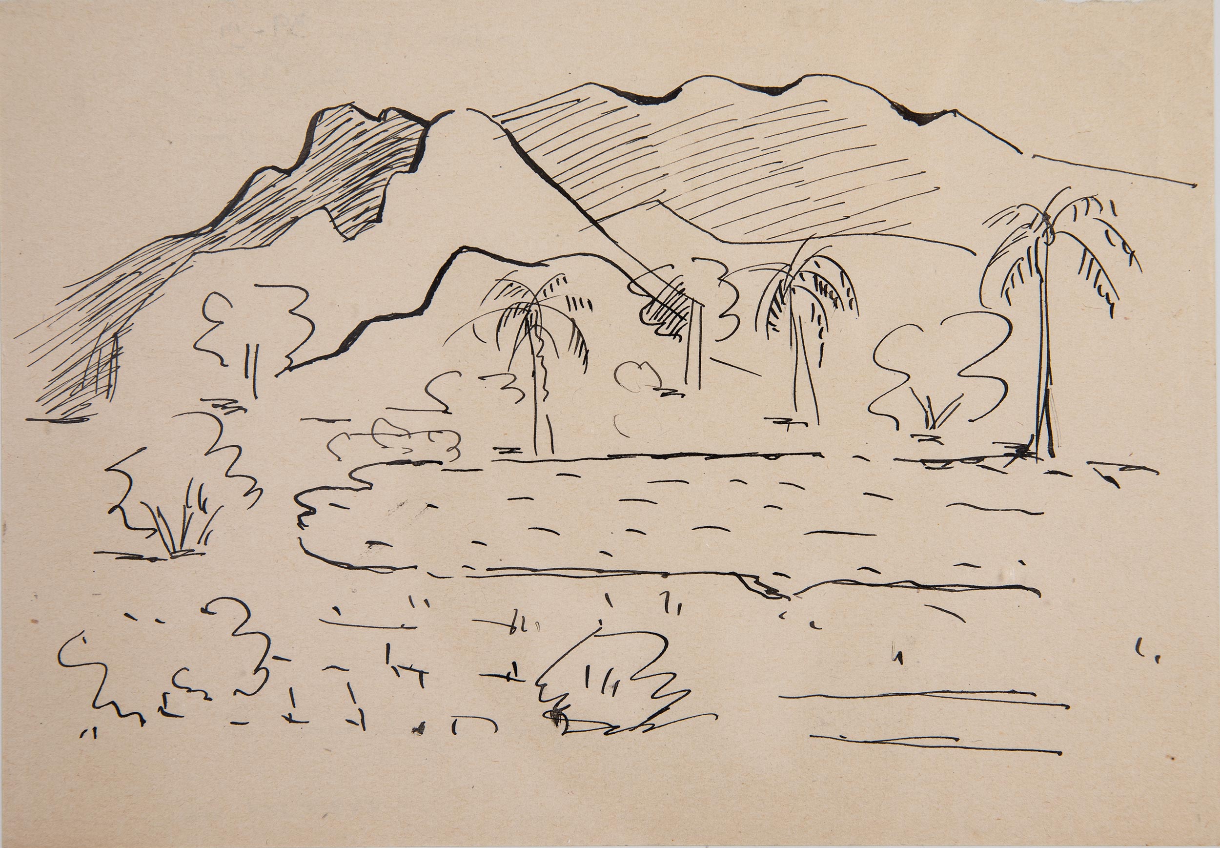 Journey to SiamLandscape with Palm Trees