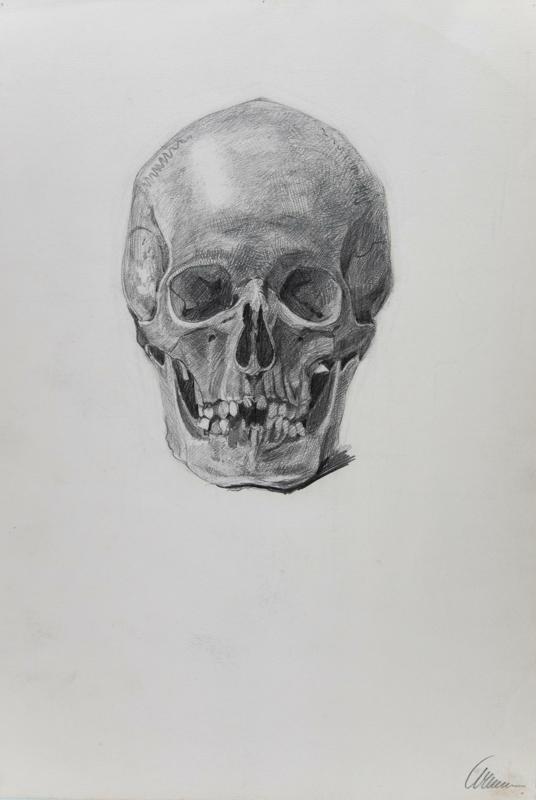 Skull