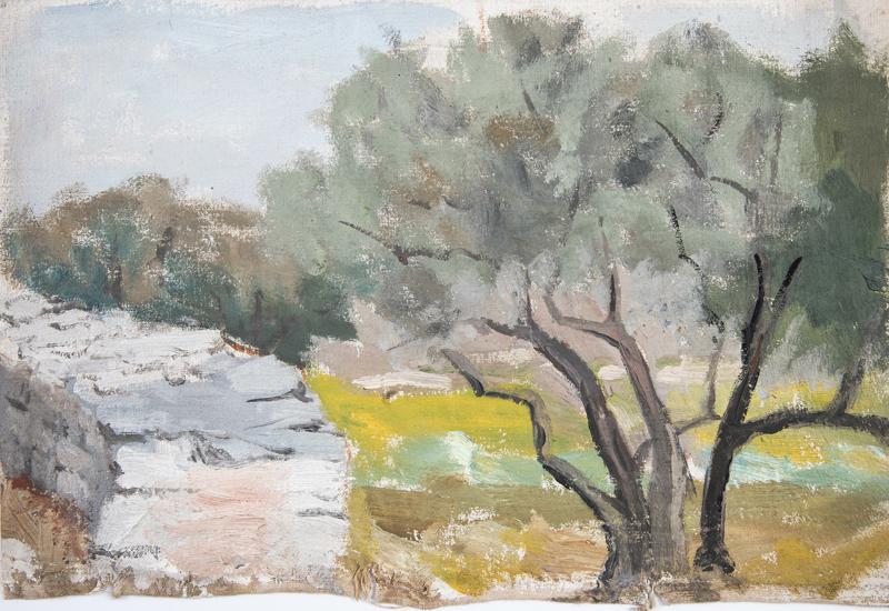 Olive Grove