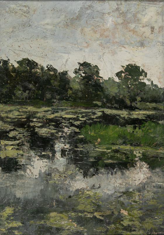 Swamp