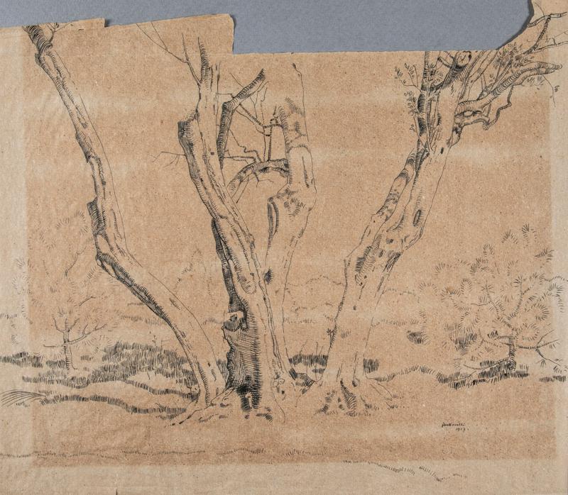 Trees