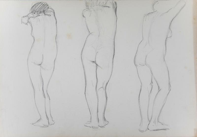 Study XII