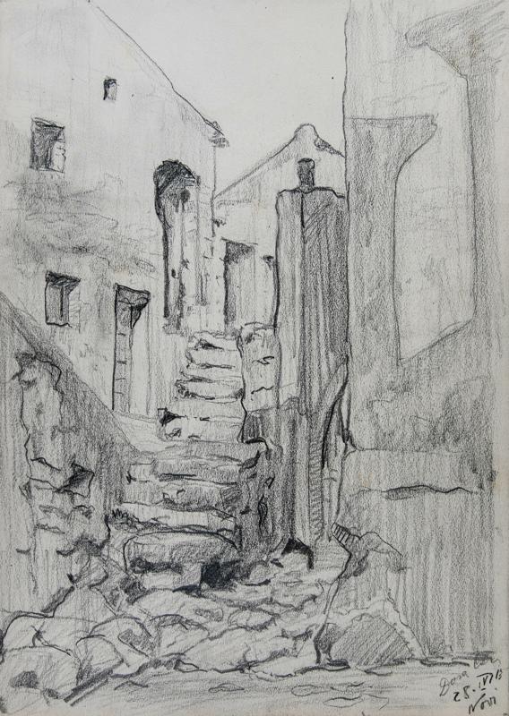 Street in Novi