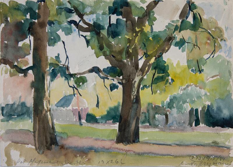 Under the Plane Trees II