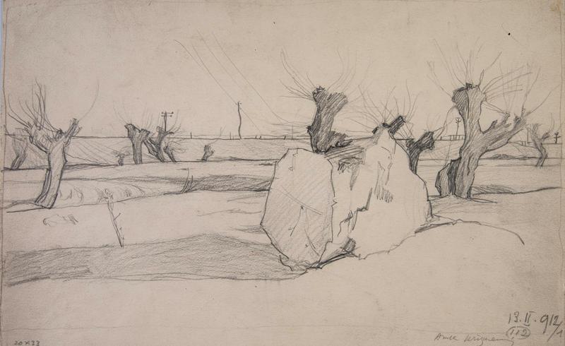 Willows by the Sava River