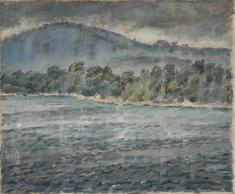 Rain on Mljet Lake