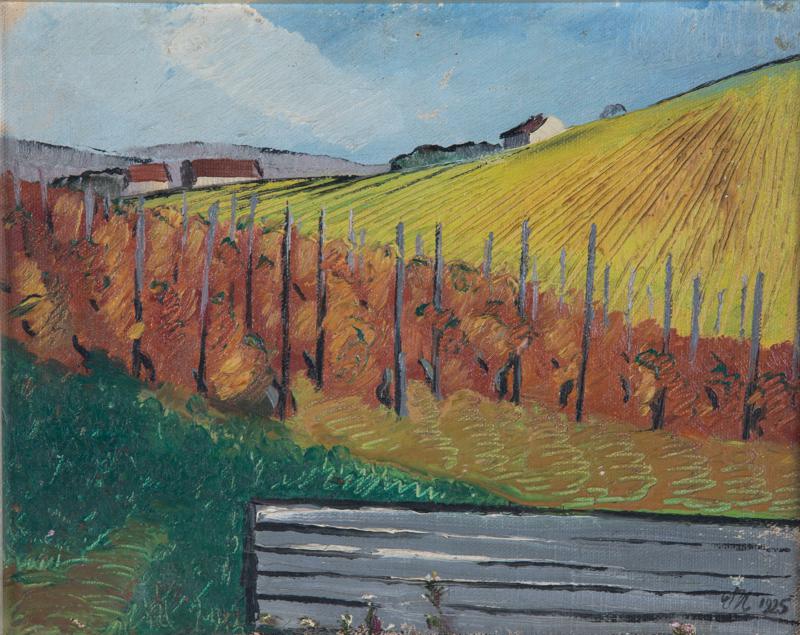 Old Vineyard