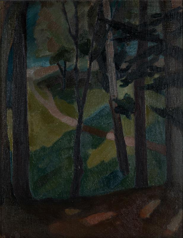 Forest Path
