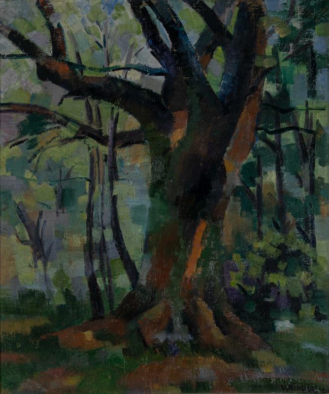 Chestnut Tree