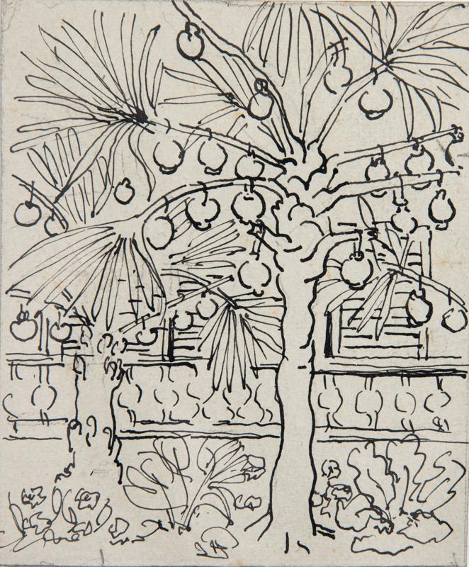 Journey to SiamFruit Tree