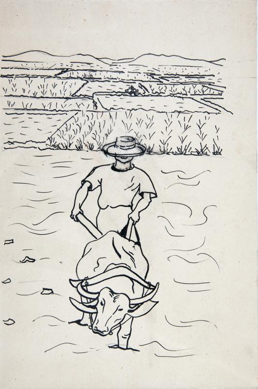 Journey to SiamPloughman