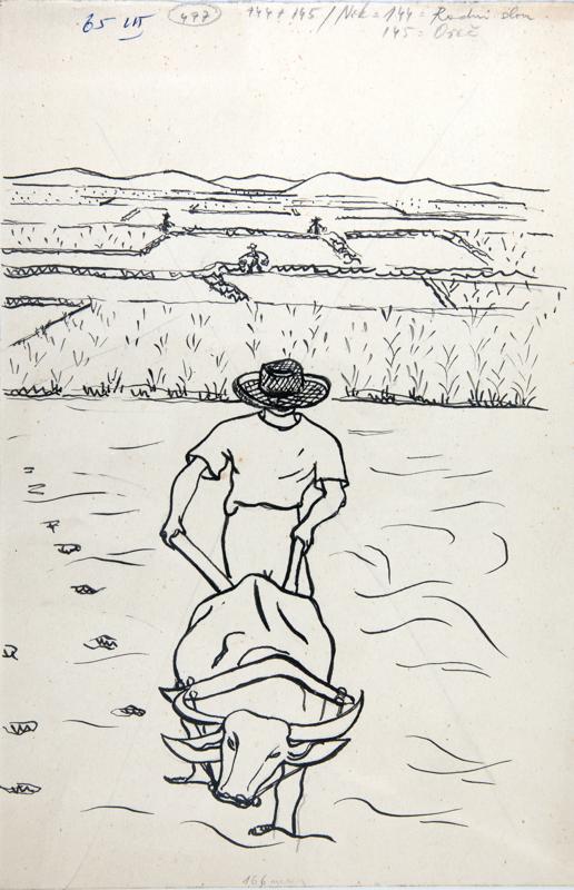 Journey to SiamPloughman