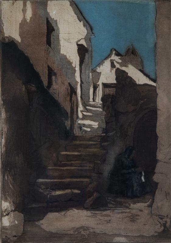 Street in Novi