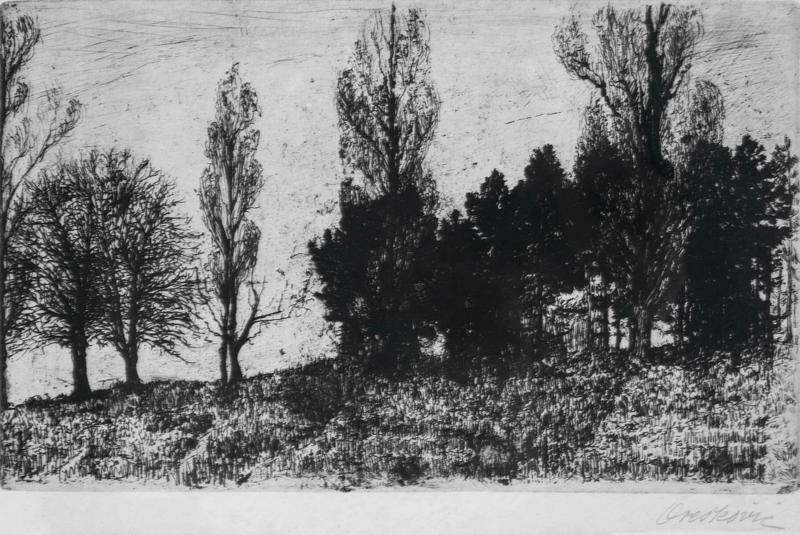 Edge of the Forest on Pantovčak