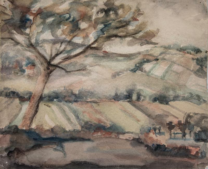 Landscape with Tree and Vineyards