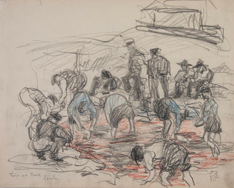 Tuna Fishing in Povile