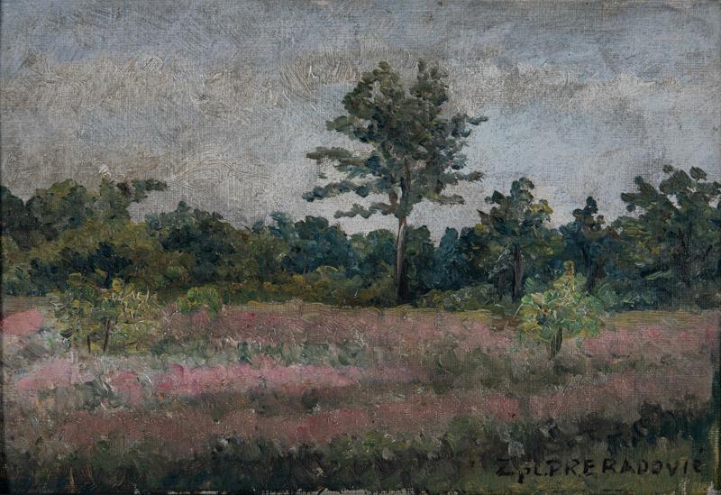 In front of a Forest