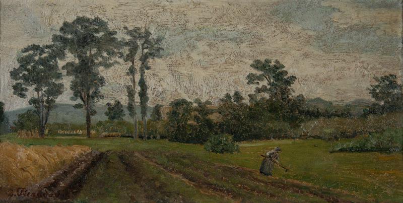 Woman in a Field