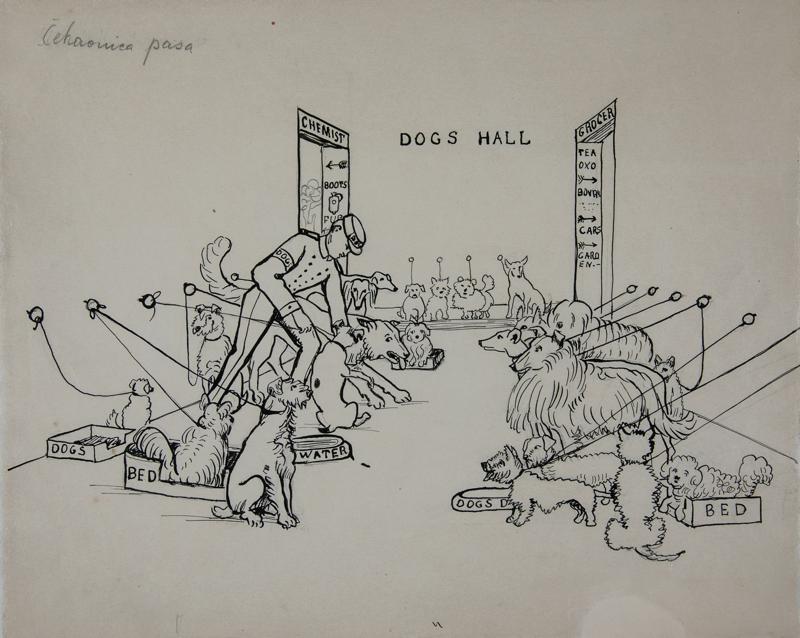 Dog Waiting Room