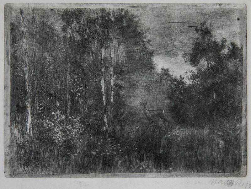 Doe in the Forest