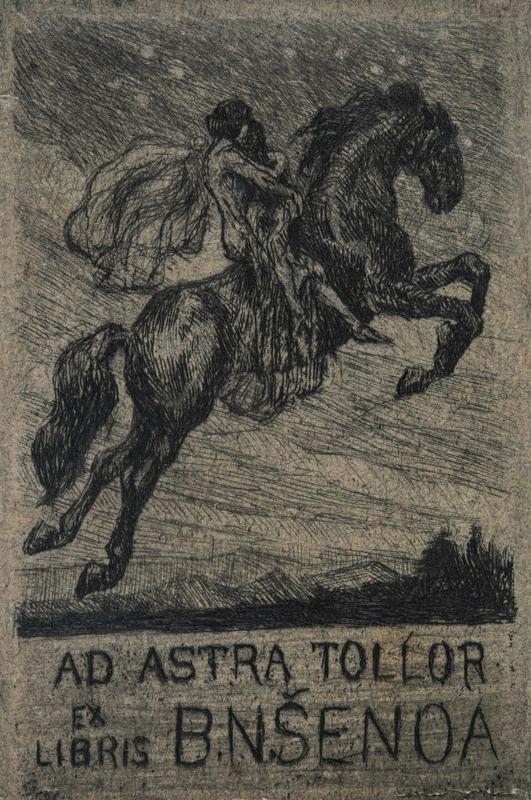 Ex Libris Branko and Nasta Šenoa