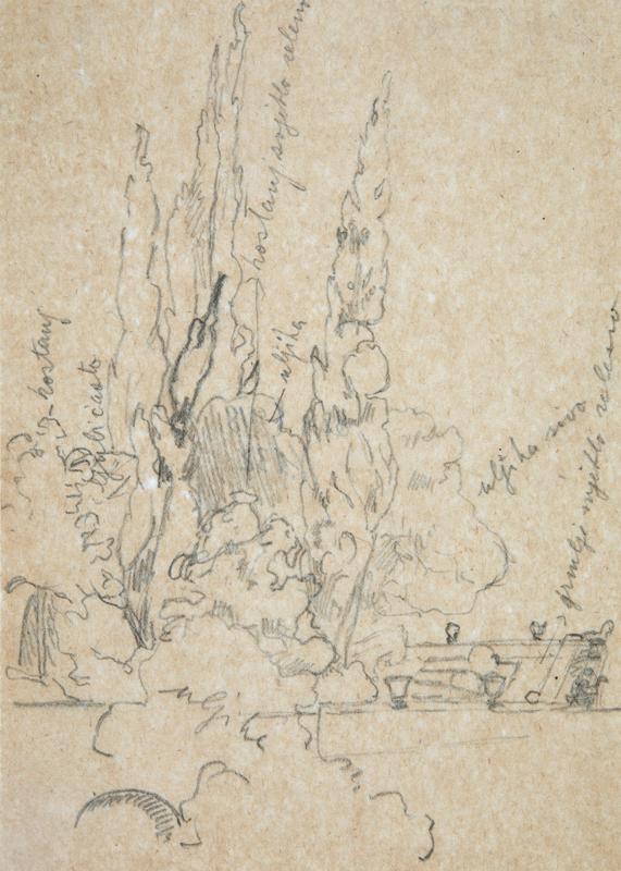 Motif with Cypresses
