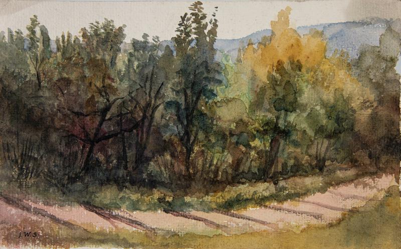 Autumn Landscape with Path