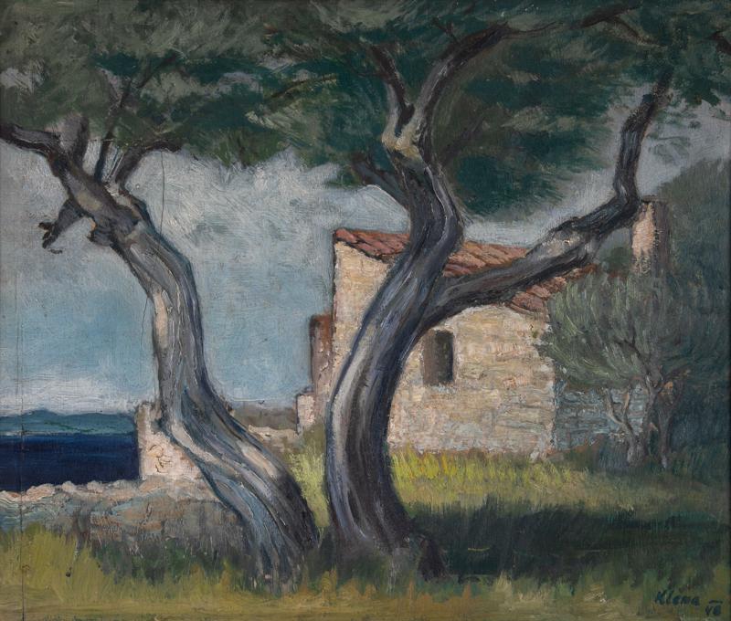 Olive Trees