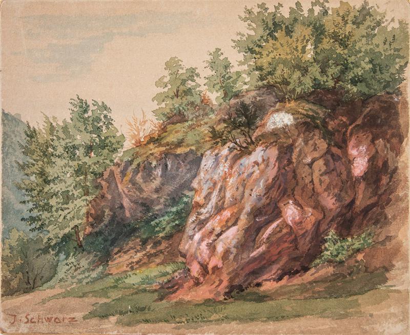 Rocks with Vegetation