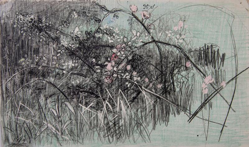 Flowering Bush