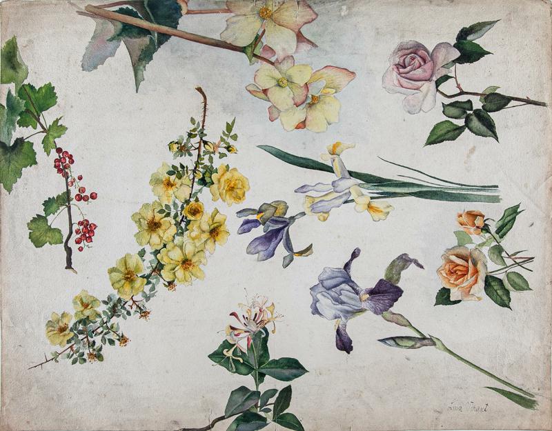 Currant, Iris, Roses, etc.